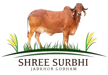 shreeshurbhi logo