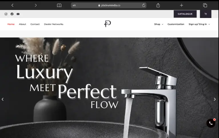 Platinum India